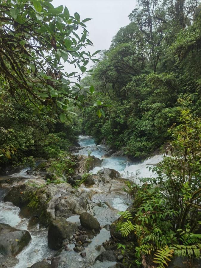 Апартаменты Selvatica Del Toro Bajos del Toro Экстерьер фото