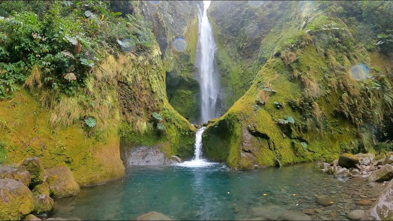 Апартаменты Selvatica Del Toro Bajos del Toro Экстерьер фото