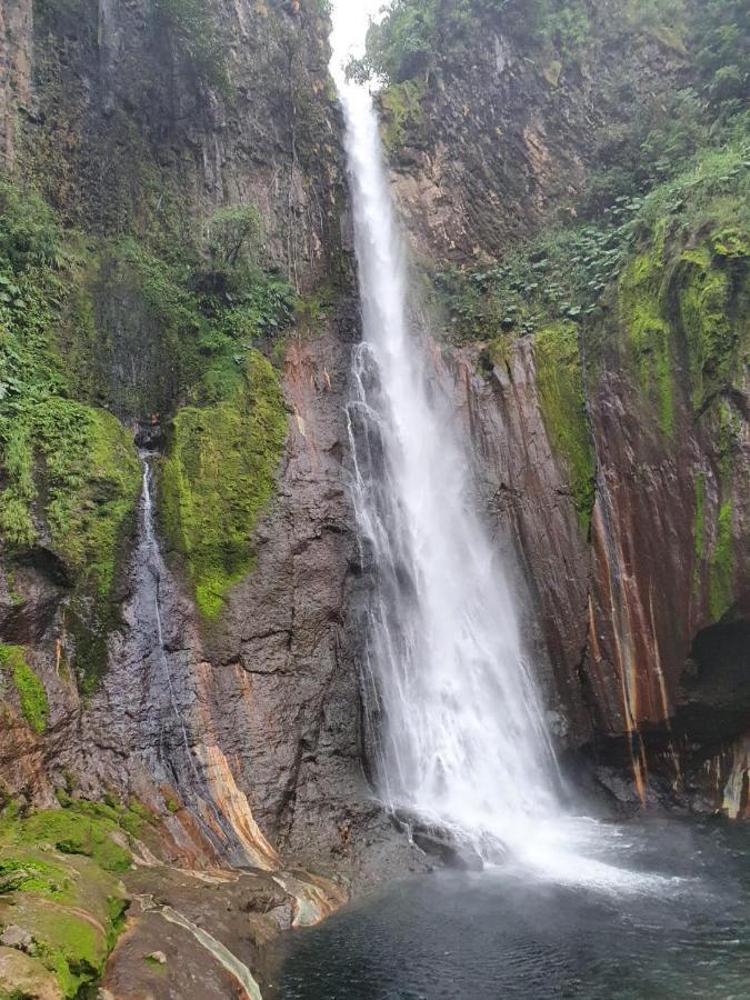 Апартаменты Selvatica Del Toro Bajos del Toro Экстерьер фото